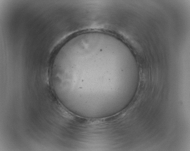 X0000068861262200605192008