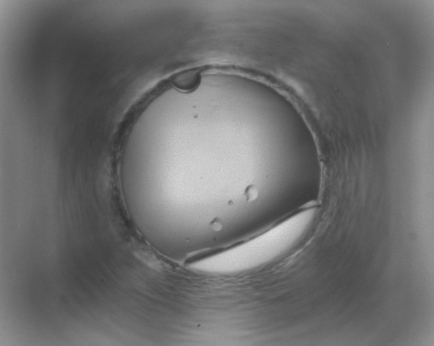 X0000068861263200605192008