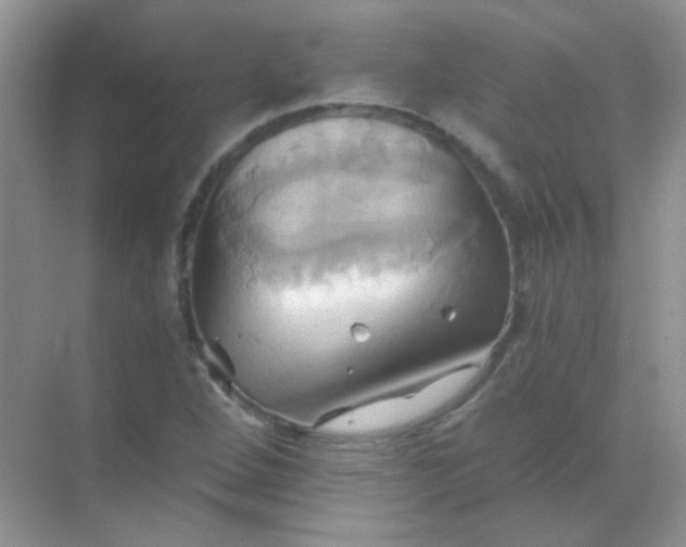 X0000068861264200605192008