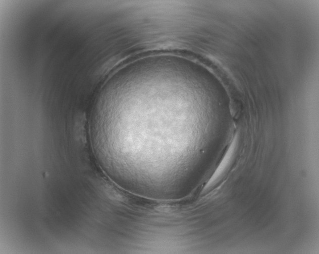 X0000068861265200605192008