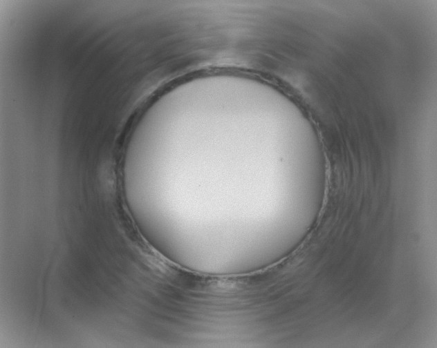 X0000068861266200605192008