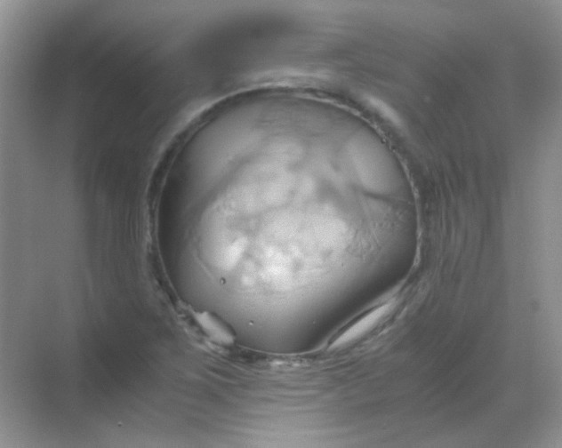 X0000068861267200605192008