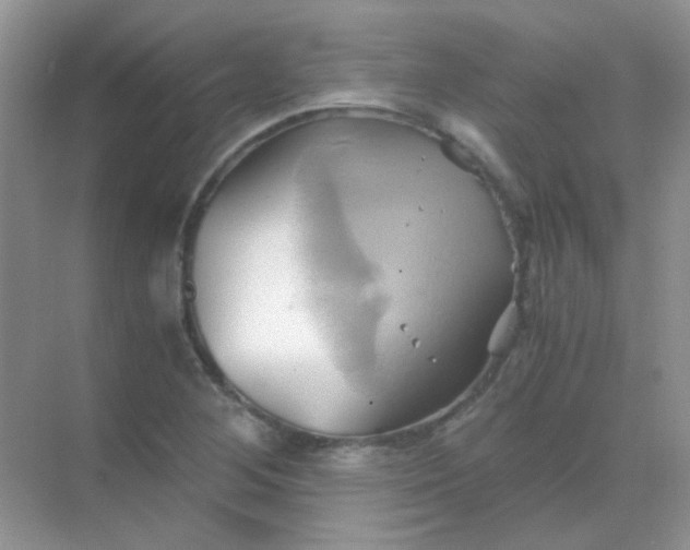 X0000068861268200605192008