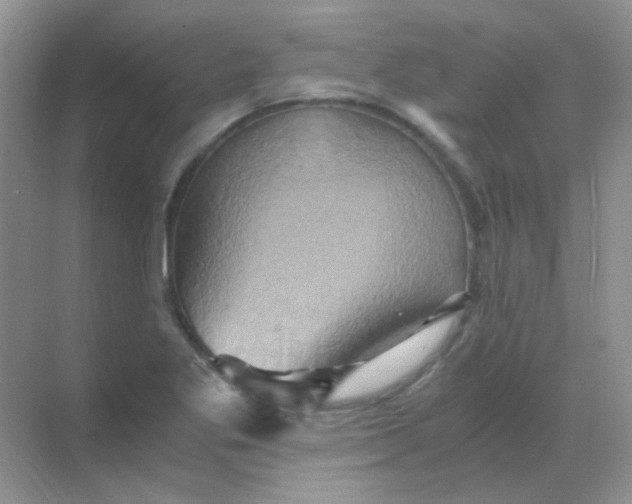 X0000068861269200605192008