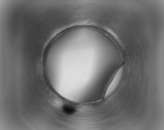 X0000068861270200605192008