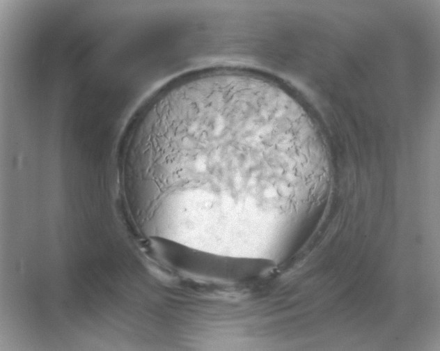 X0000068861271200605192008