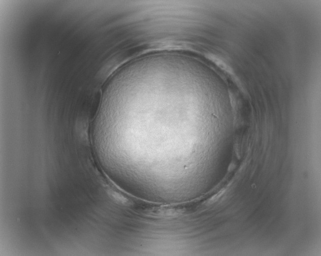 X0000068861273200605192008