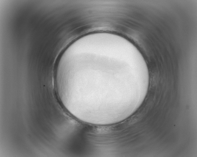 X0000068861274200605192008