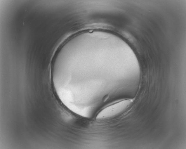 X0000068861275200605192008