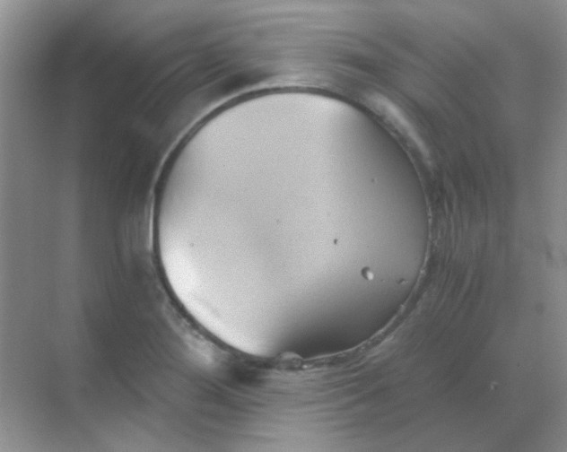 X0000068861276200605192008