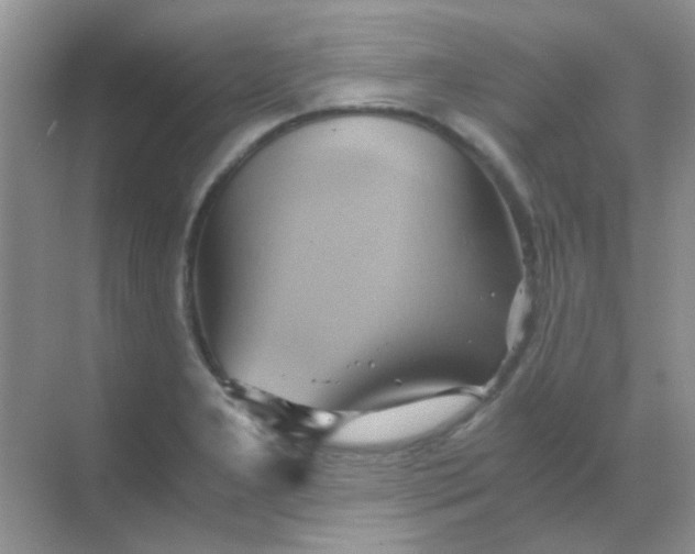 X0000068861277200605192008