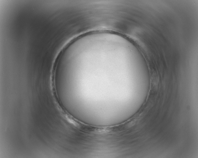 X0000068861278200605192008