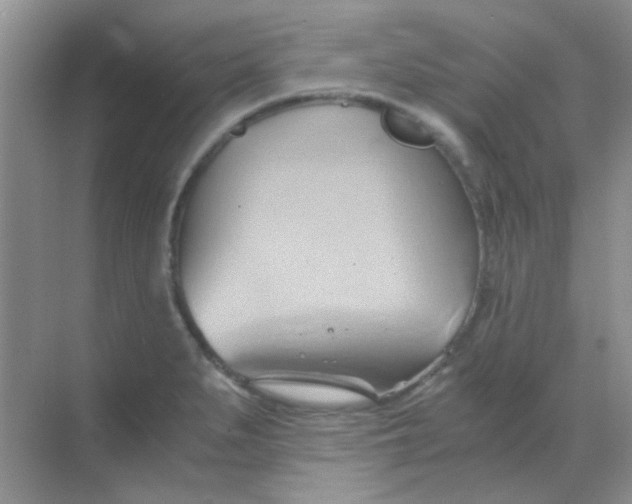 X0000068861279200605192008