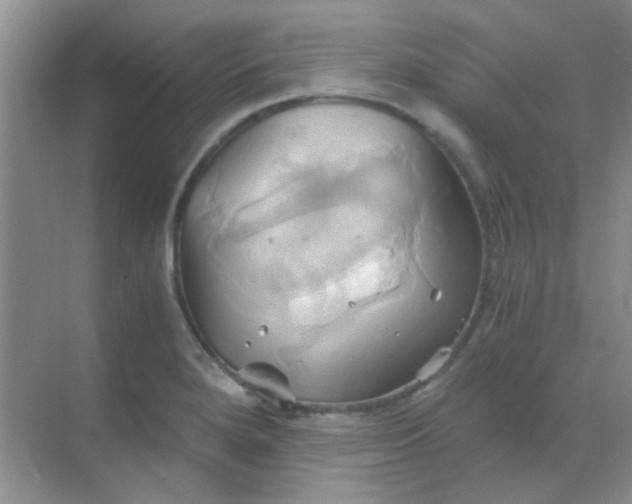 X0000068861280200605192008