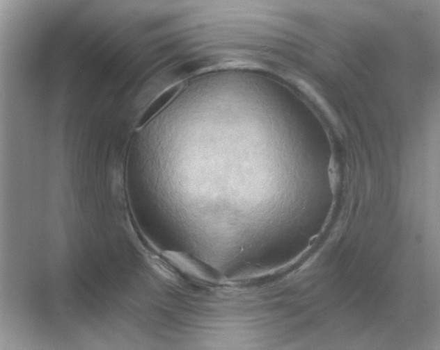 X0000068861281200605192008