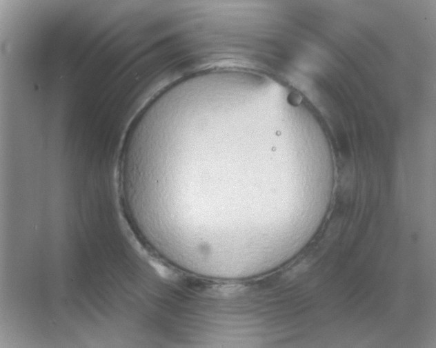 X0000068861282200605192008