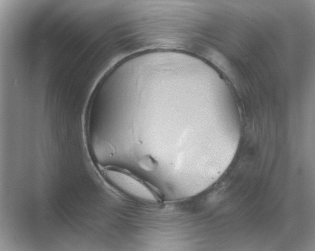 X0000068861283200605192008