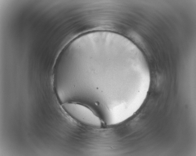 X0000068861284200605192008