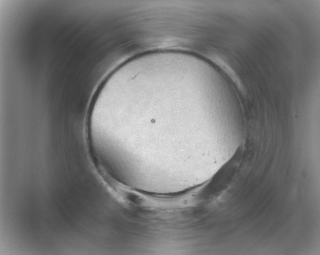 X0000068861285200605192007