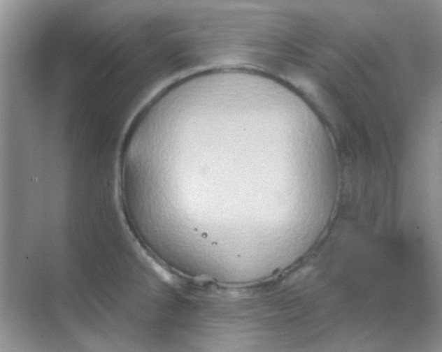 X0000068861286200605192007