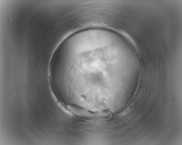 X0000068861287200605192007