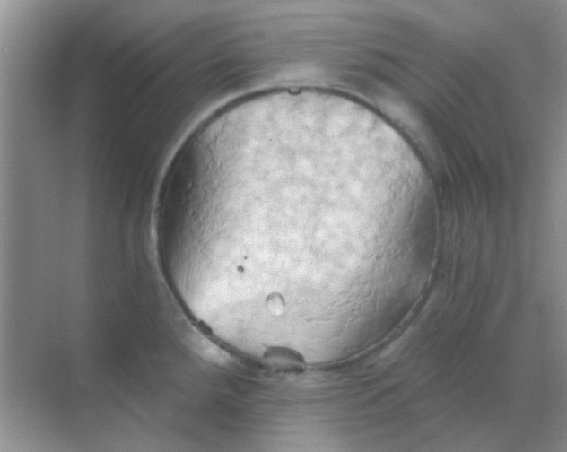 X0000068861288200605192007