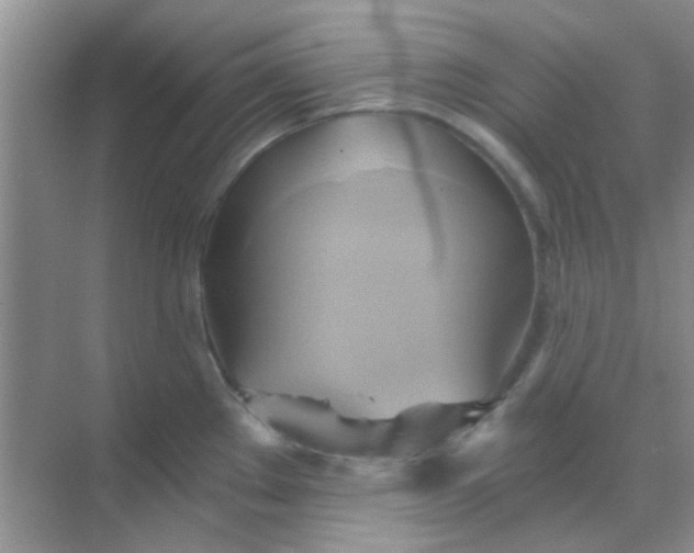 X0000068861289200605192007