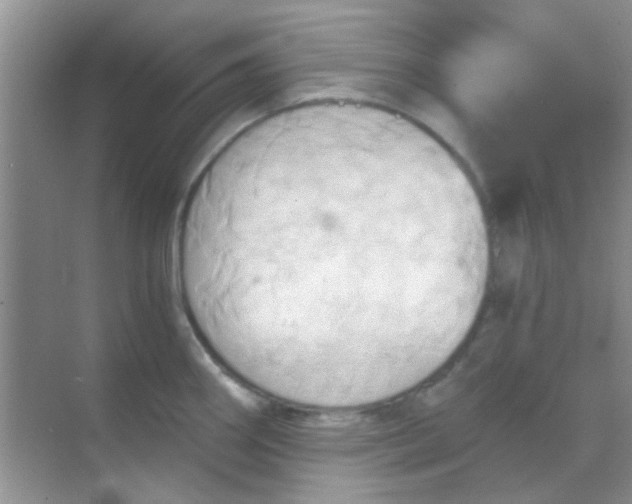 X0000068861290200605192007