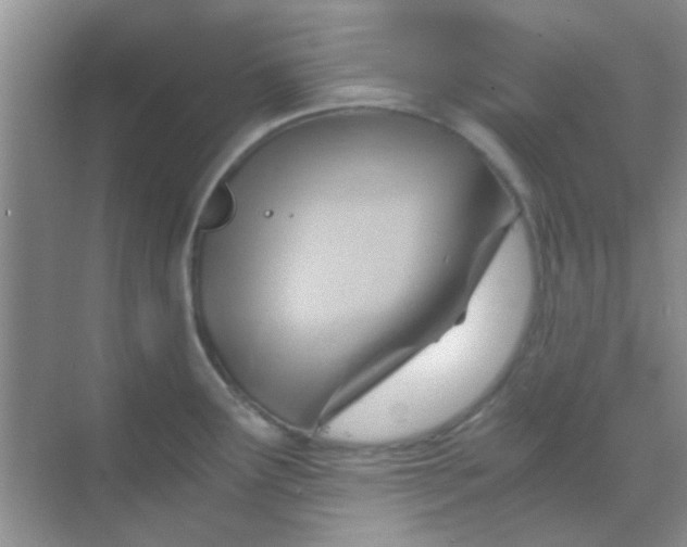 X0000068861291200605192007