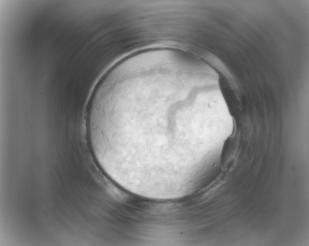 X0000068861292200605192007