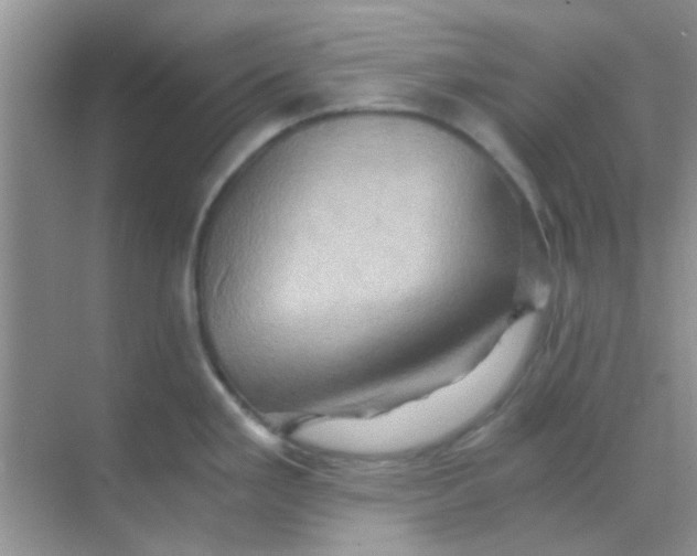 X0000068861293200605192007