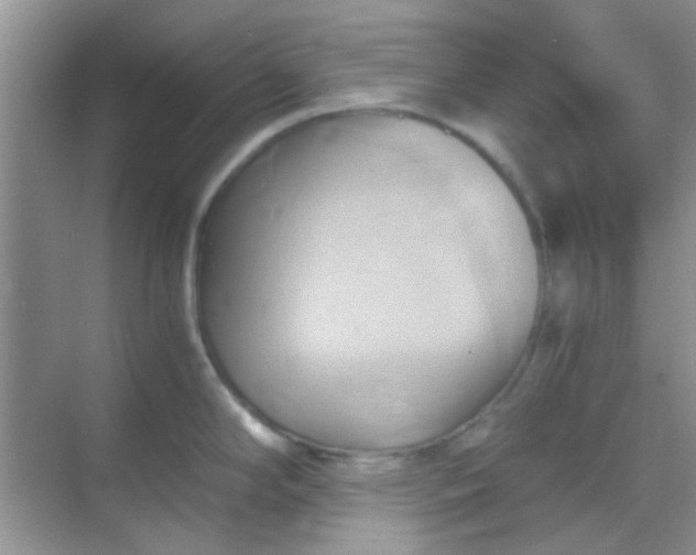 X0000068861294200605192007