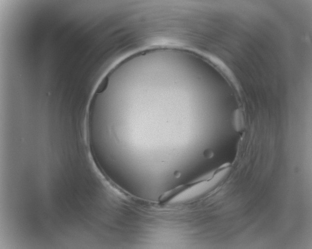 X0000068861295200605192007