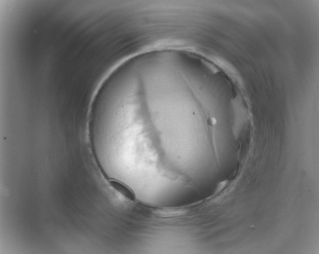 X0000068861296200605192007