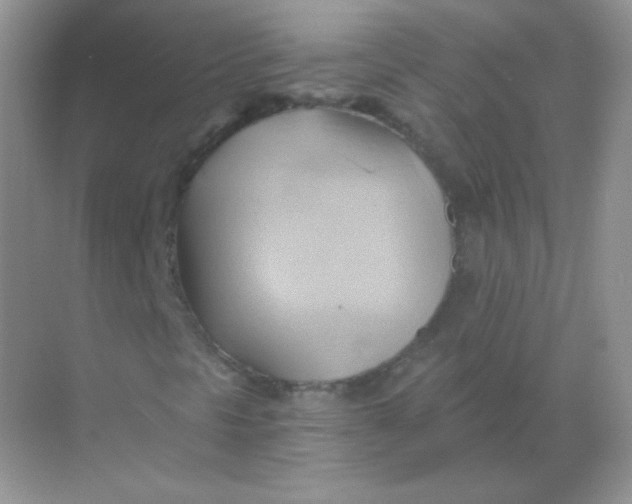 X0000068861297200605192007