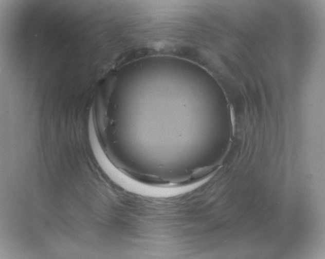 X0000068861298200605192007