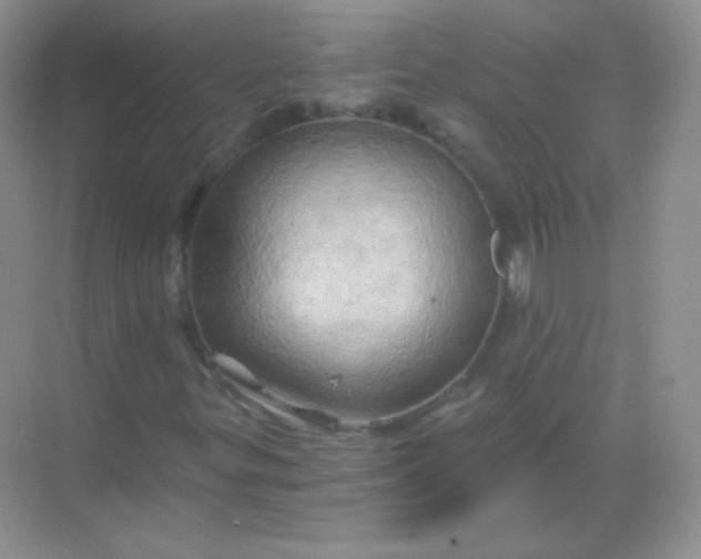 X0000068861299200605192007