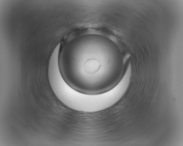 X0000068861300200605192007