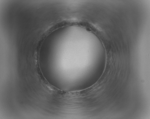 X0000068861301200605192007