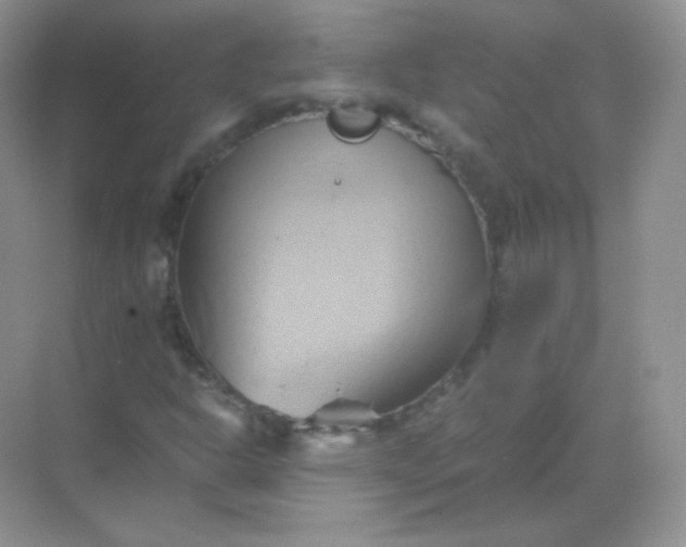 X0000068861302200605192007