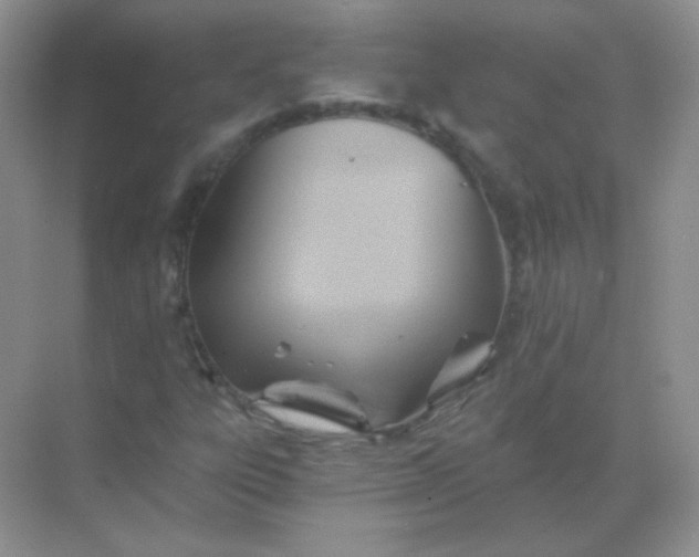 X0000068861303200605192007