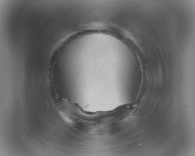 X0000068861304200605192007