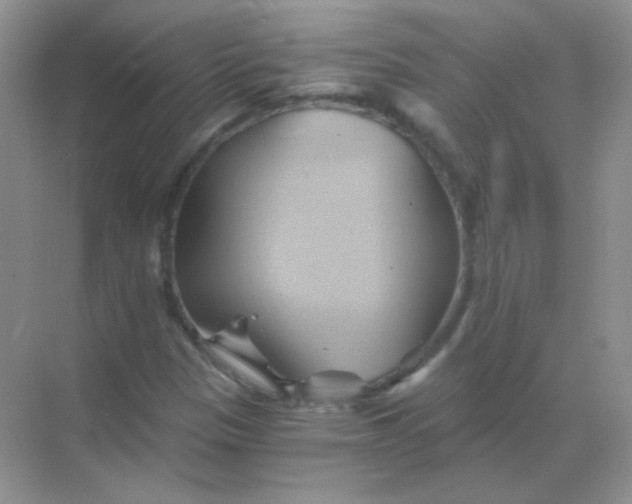 X0000068861305200605192007