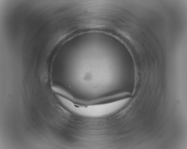 X0000068861306200605192007