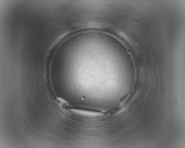 X0000068861307200605192007