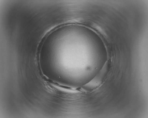 X0000068861308200605192007