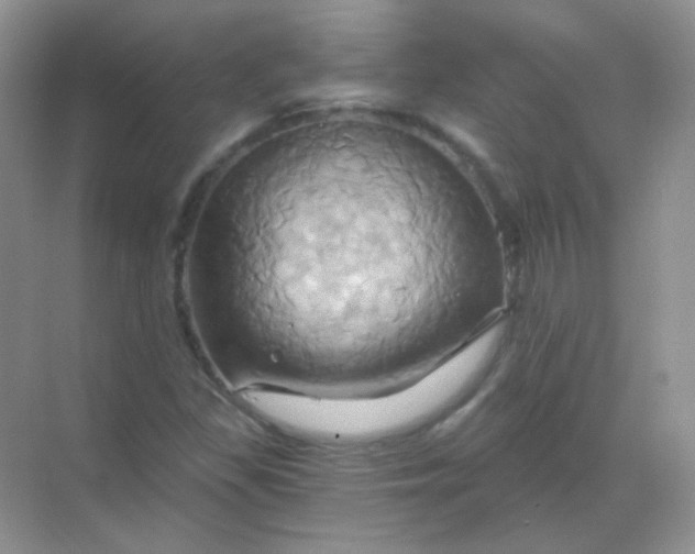 X0000068861309200605192007