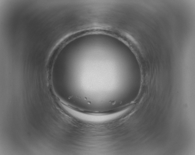 X0000068861310200605192007