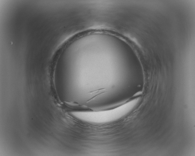 X0000068861311200605192007