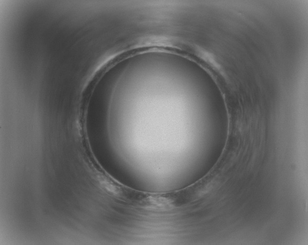 X0000068861312200605192007